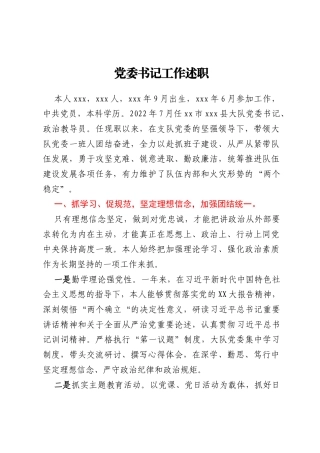 党委书记工作述职