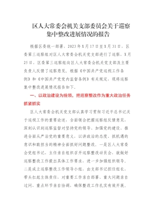 区人大常委会机关支部委员会关于巡察集中整改进展情况的报告