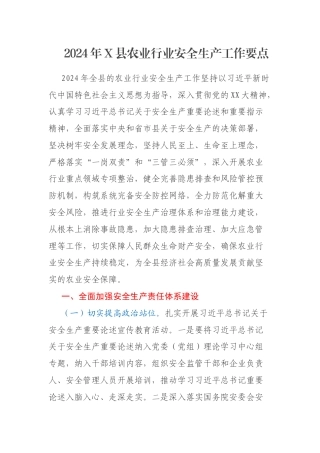 2024年X县农业行业安全生产工作要点