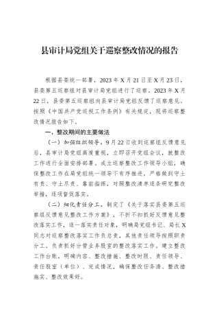 县审计局党组关于巡察整改情况的报告