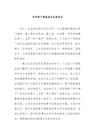 市年轻干部座谈会交流发言