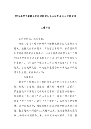 2023年度X镇基层党组织组织生活会和开展民主评议党员工作方案