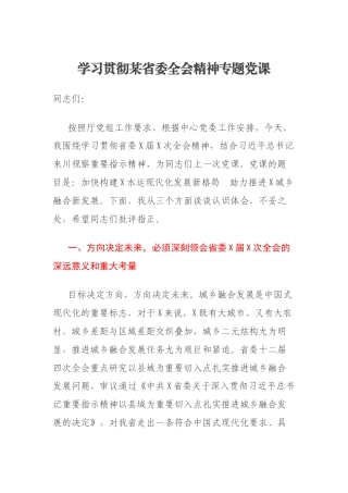 学习贯彻某省委全会精神专题党课