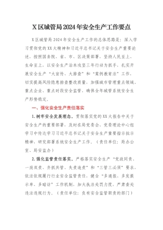 X区城管局2024年安全生产工作要点