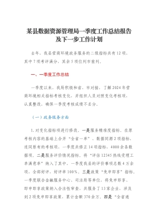某县数据资源管理局一季度工作总结报告及下一步工作计划
