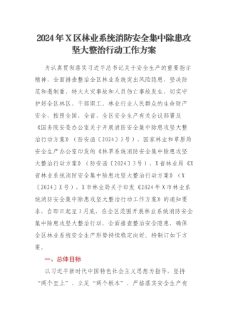2024年X区林业系统消防安全集中除患攻坚大整治行动工作方案
