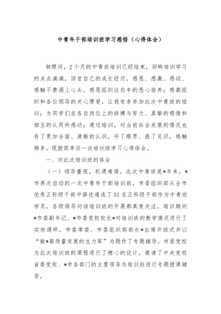 中青年干部培训班学习感悟（心得体会）