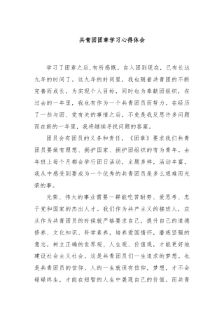 共青团团章学习心得体会