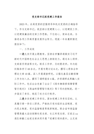 党支部书记抓党建工作报告