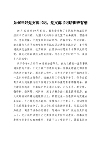 如何当好党支部书记,党支部书记培训班有感