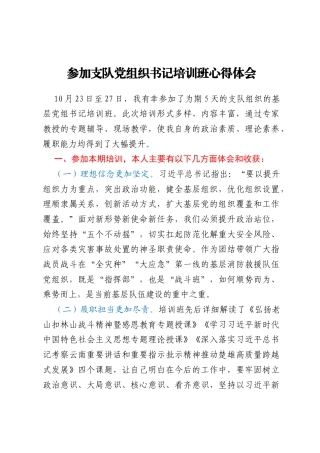 参加支队党组织书记培训班心得体会