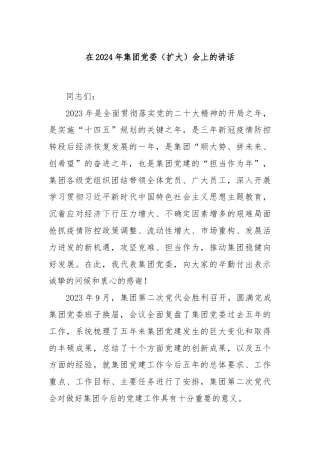 在2024年集团党委（扩大）会上的讲话