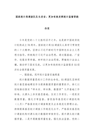 国家统计局调查队队长发言：更加有效发挥统计监督职能作用