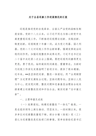 关于全县巡察工作进展情况的汇报