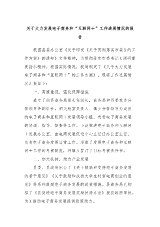 关于大力发展电子商务和“互联网＋”工作进展情况的报告