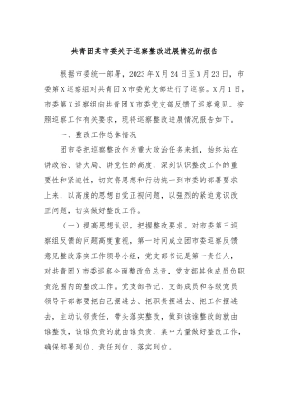 共青团某市委关于巡察整改进展情况的报告