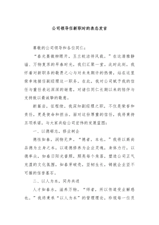 公司领导任新职时的表态发言