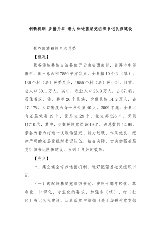 创新机制 多措并举 着力推进基层党组织书记队伍建设