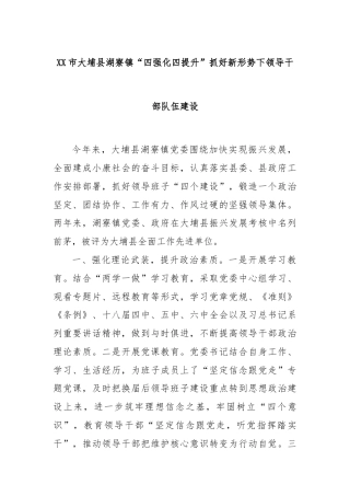 XX市大埔县湖寮镇“四强化四提升”抓好新形势下领导干部队伍建设