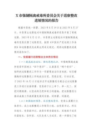 X市强制隔离戒毒所委员会关于巡察整改进展情况的报告