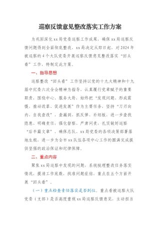 巡察反馈意见整改落实工作方案