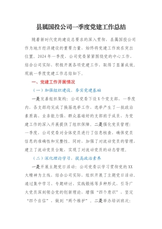 县属国投公司一季度党建工作总结