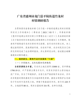 广东省惠州市龙门县竹龙村村情调研报告