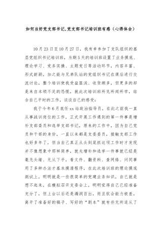 如何当好党支部书记,党支部书记培训班有感（心得体会）