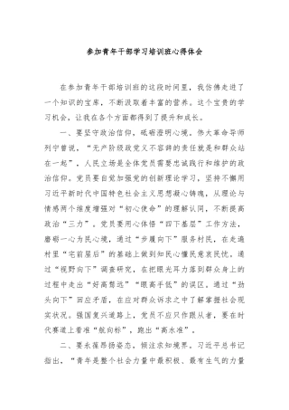 参加青年干部学习培训班心得体会