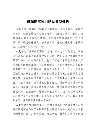 谋深抓实项目建设典型材料