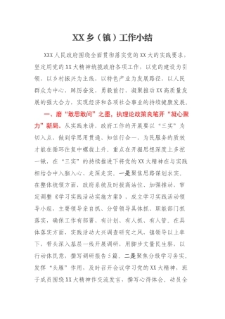 XX乡（镇）工作小结