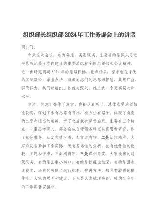 组织部长组织部2024年工作务虚会上的讲话