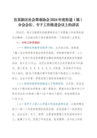 在某新区社会禁毒协会2024年度街道（镇）分会会长、专干工作推进会议上的讲话
