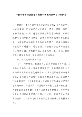 中青年干部培训班学习感悟中青班培训学习心得体会