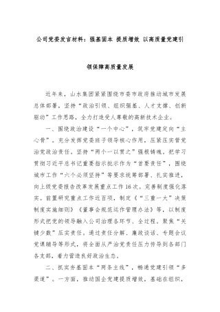 公司党委发言材料：强基固本 提质增效 以高质量党建引领保障高质量发展
