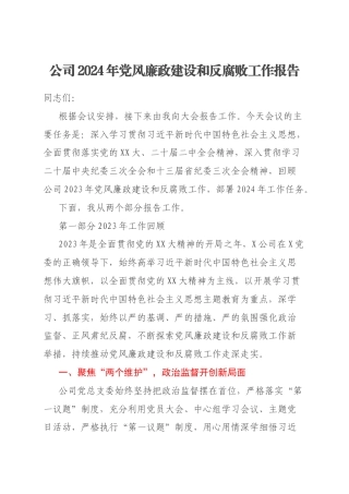 公司2024年党风廉政建设和反腐败工作报告