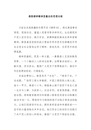 感悟榜样精神里蕴含的思想内核