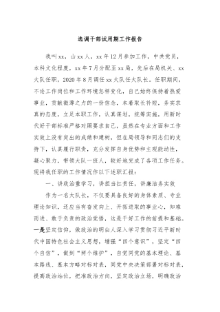 选调干部试用期工作报告