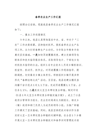 春季农业生产工作汇报