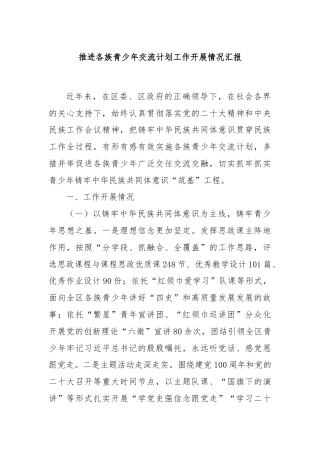 推进各族青少年交流计划工作开展情况汇报