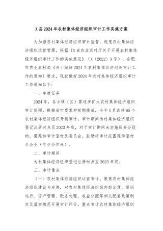 X县2024年农村集体经济组织审计工作实施方案