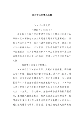 ××市工作情况汇报