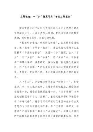 主题教育：一“乡”情愿写实“年度总结报告”