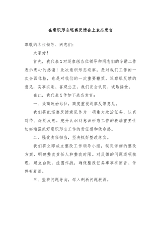 在意识形态巡察反馈会上表态发言