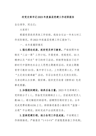 村党支部书记2023年度基层党建工作述职报告