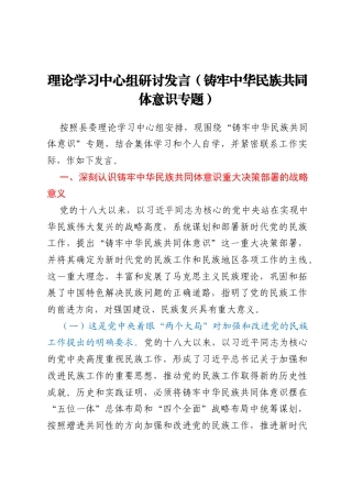 理论学习中心组研讨发言（铸牢中华民族共同体意识专题）