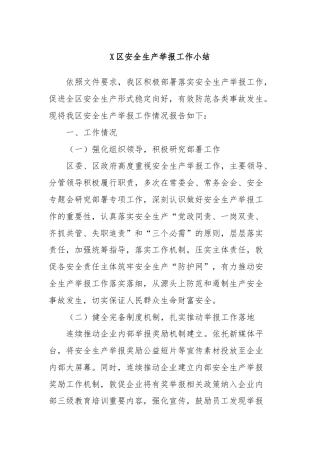 X区安全生产举报工作小结