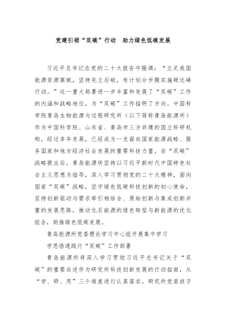 党建引领“双碳”行动  助力绿色低碳发展