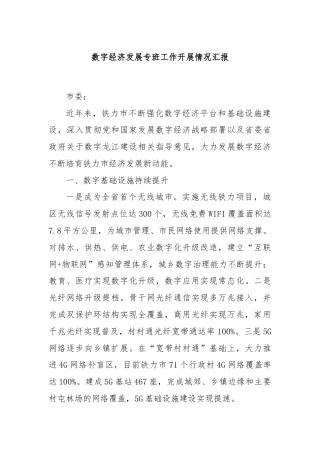 数字经济发展专班工作开展情况汇报