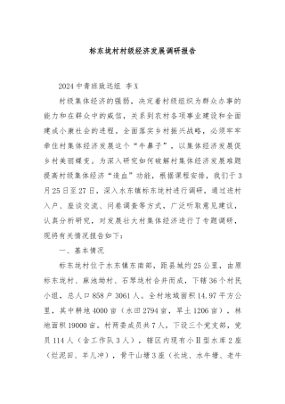 标东垅村村级经济发展调研报告